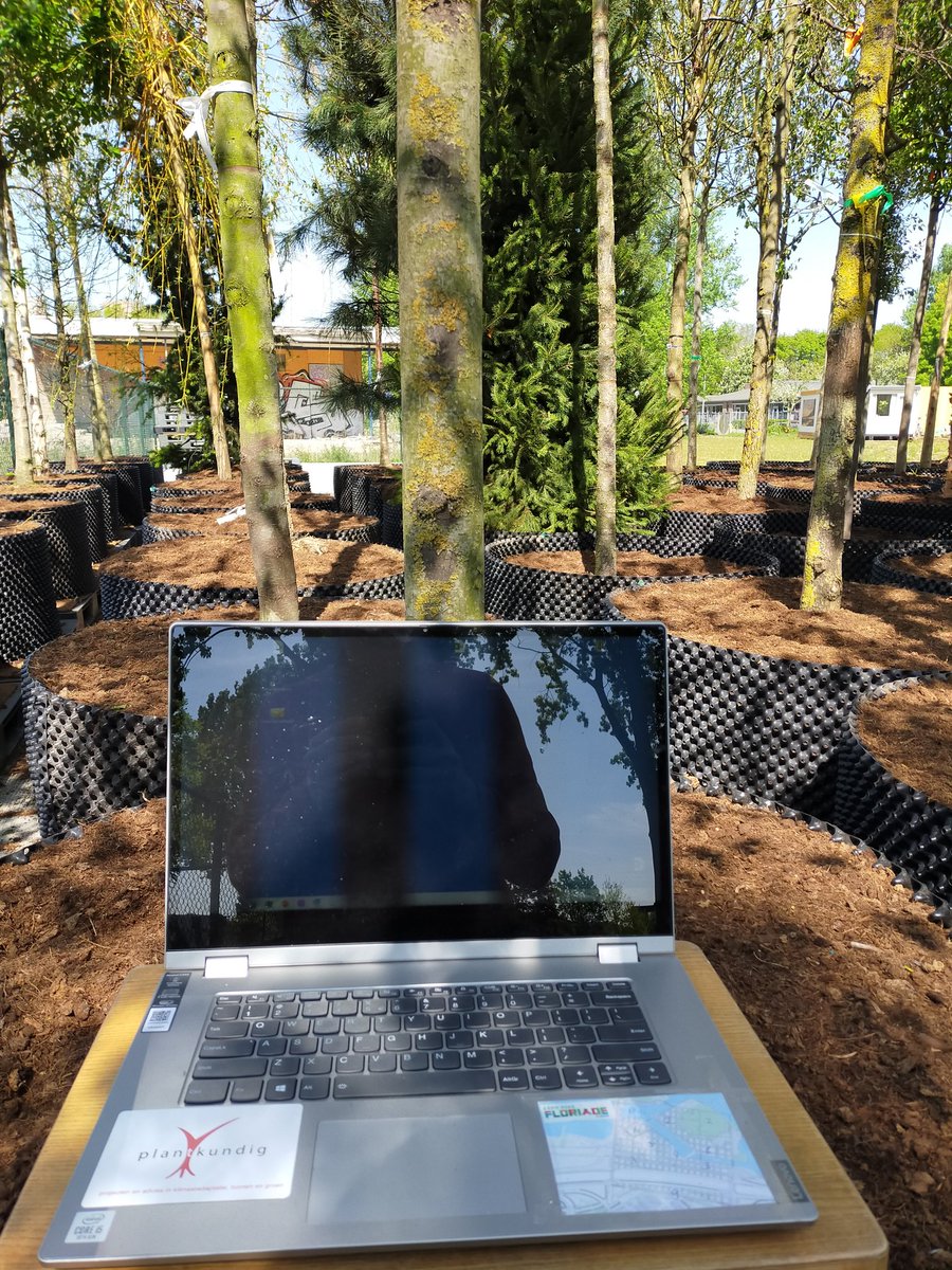 dendroloog's tweet photo. Werk is nog leuker in de zon op een innovatieve locatie. Nu in het #klimaatarboreta project in @GemDordrecht https://t.co/FiQqcKvr1J