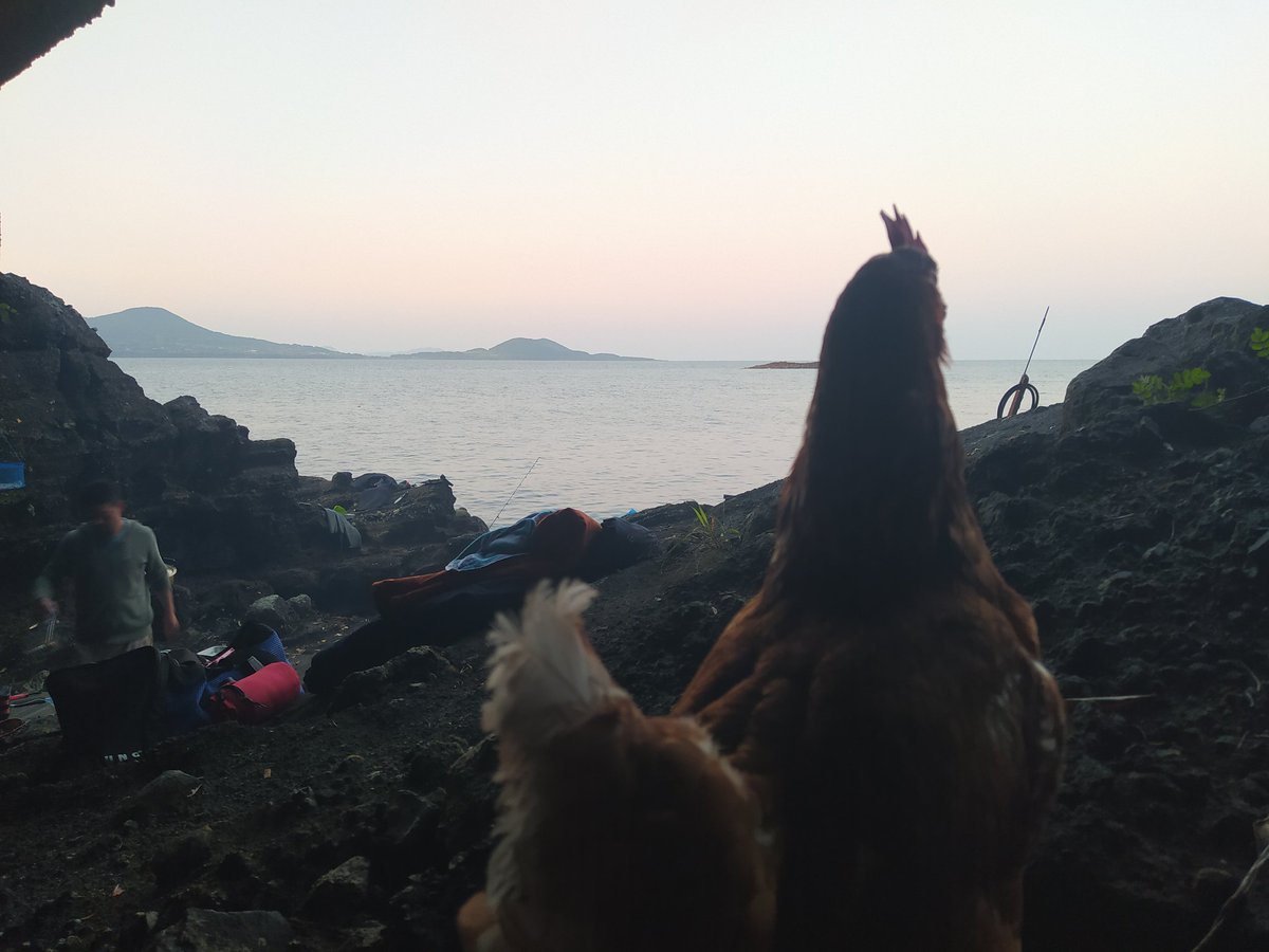 緊急事態宣言が発令されている間 無人島で自給自足生活をした記録 エクストリーム自粛 Togetter