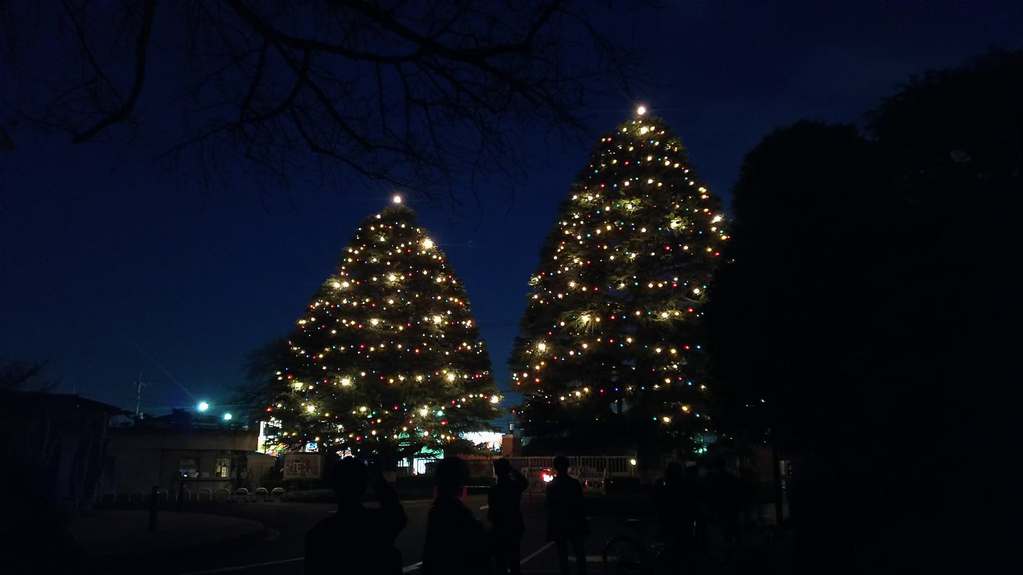 立教大学新座クリスマス実行委員会 クリスマスイベント イルミネーション点灯式 新座キャンパスの正門前にあるヒマラヤ杉が色鮮やかに点灯します 毎年 クリスマスツリーの点灯の瞬間を楽しみに待つ学生さんたちに温かいスープを配り ワクワクを分