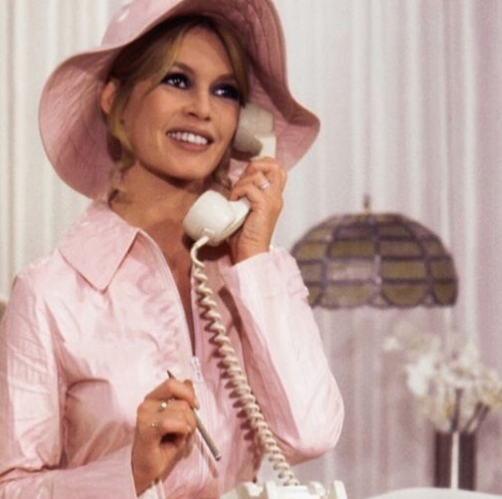 The Guinea Pig Podcast tweet media