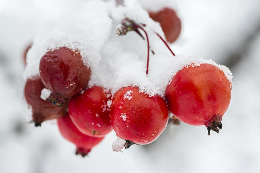 나이스듀엣!♡ (@niceduett) on Twitter photo 