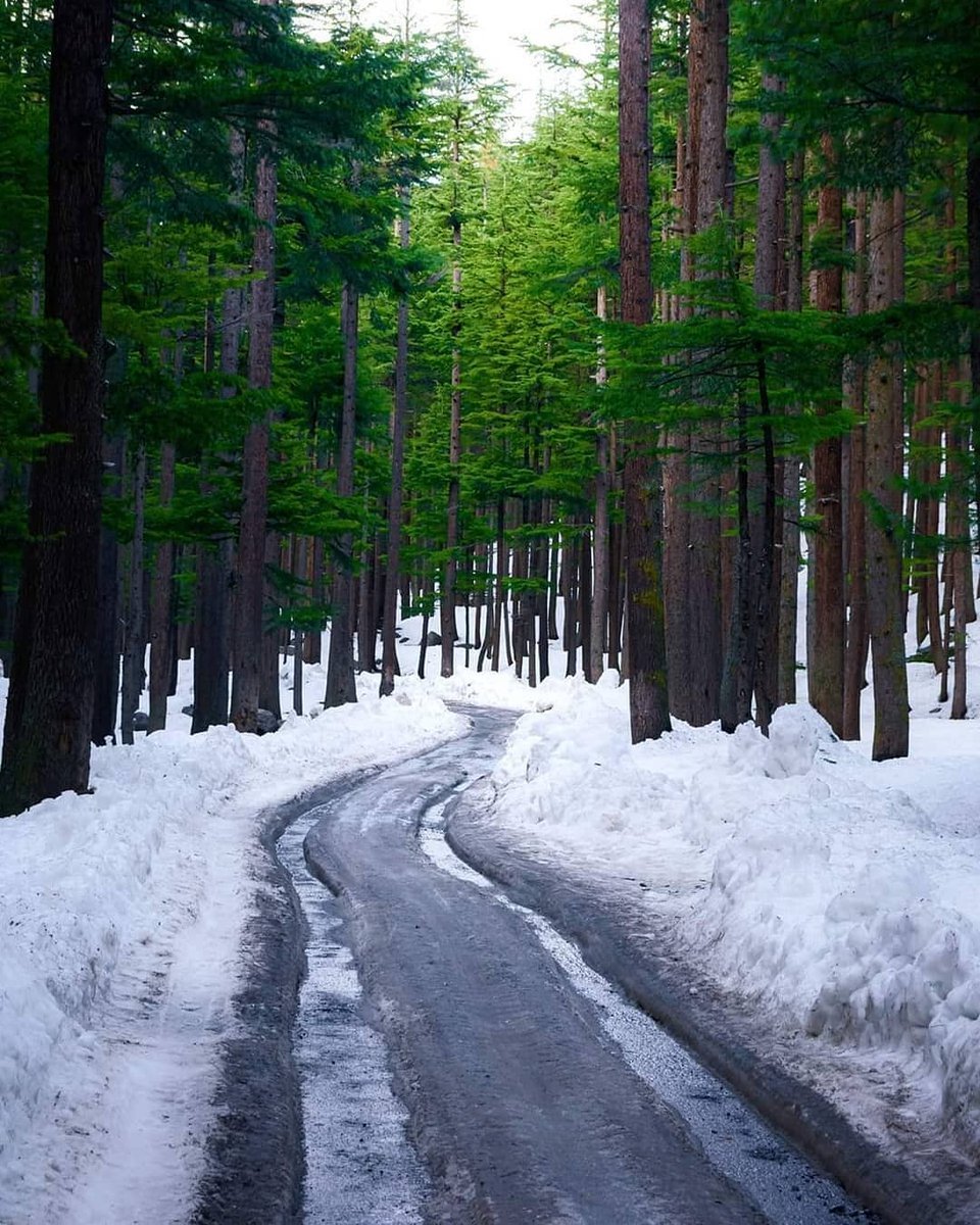 나이스듀엣!♡ (@niceduett) on Twitter photo 