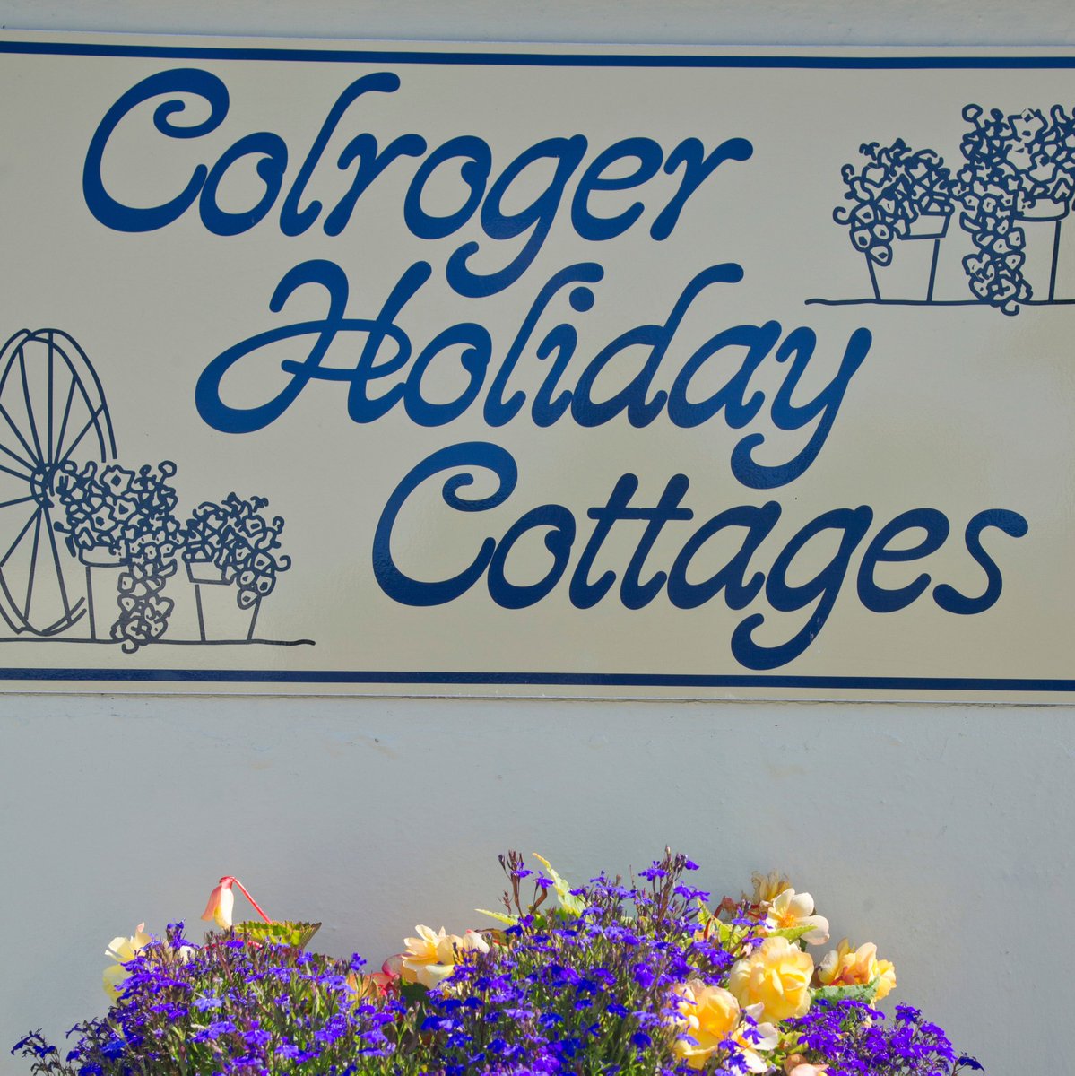 Colroger Holidays tweet media