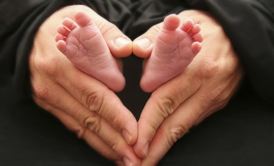 DIbirite's tweet photo. Eu vim para que tenham vida, e vida em abundância” (João 10:10)

#Vida  #ContraAborto https://t.co/pWkfjzmjxw