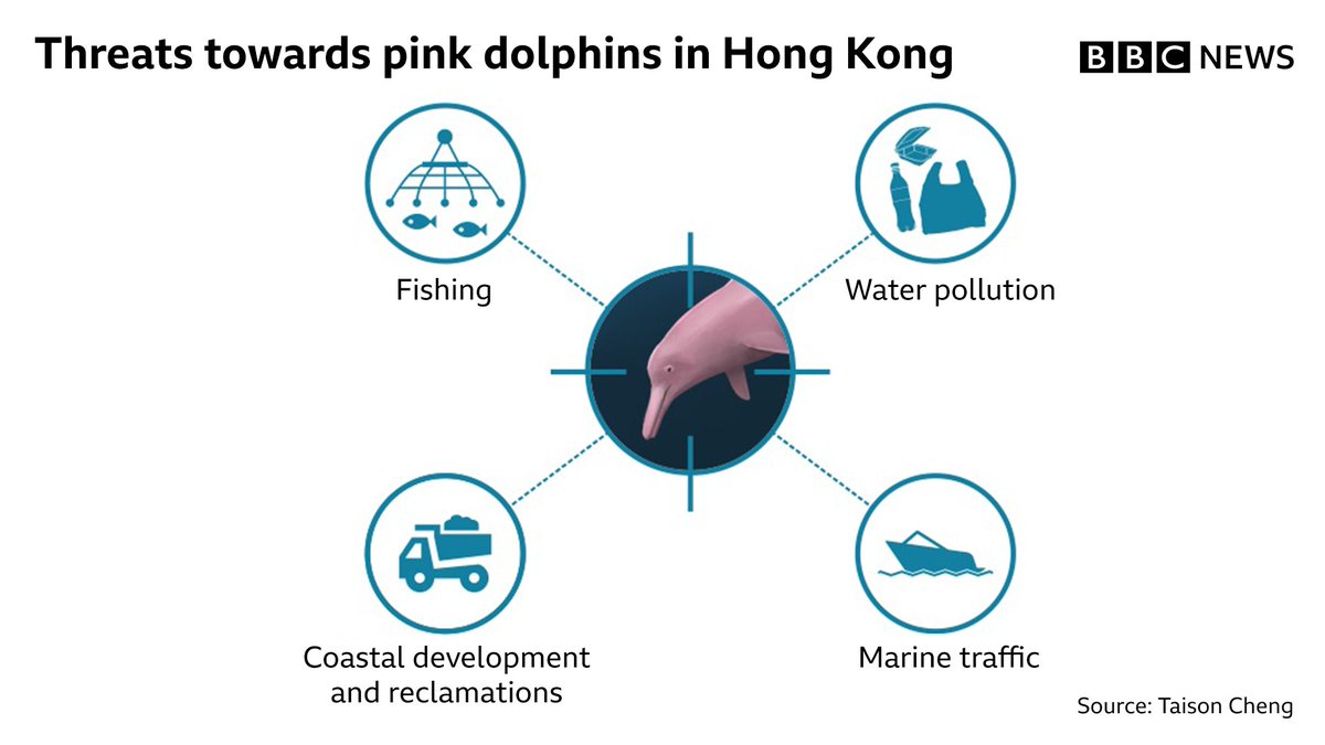 Fishing, marine traffic, coastal development, reclamation and water pollution are the 4 main threats
