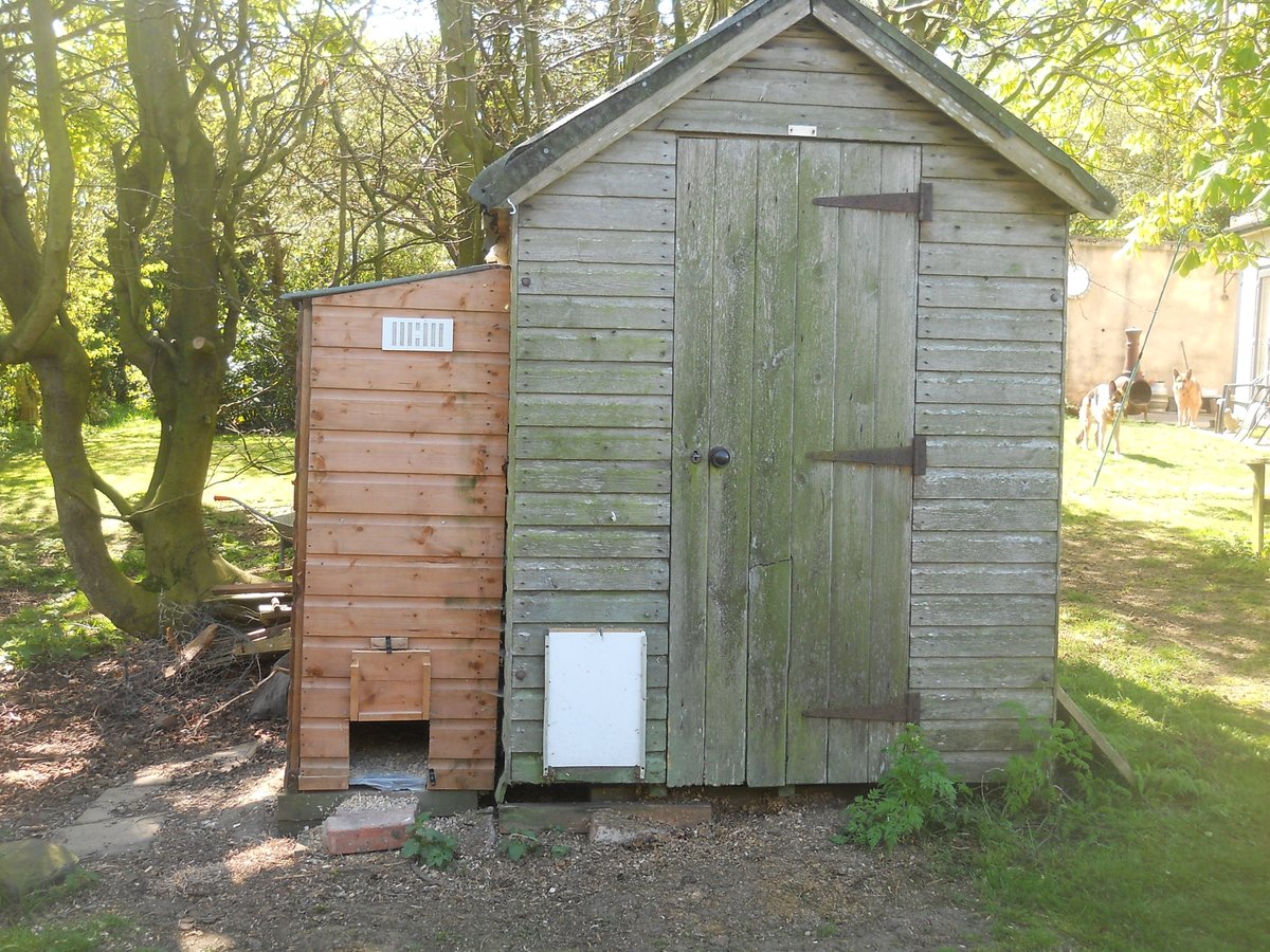 DeniseNesbitt's tweet photo. #WriteSomethingEveryDay
Bev, Joan and Dot were now in full occupation of the goose hut In 2019 the hen hut was collapsing, we decided to move the girls into a more compact mews type of accomodation and use the goose hut to store logs. Girls moved in &amp; logs were stored in next hut https://t.co/tEz6TLxJOg