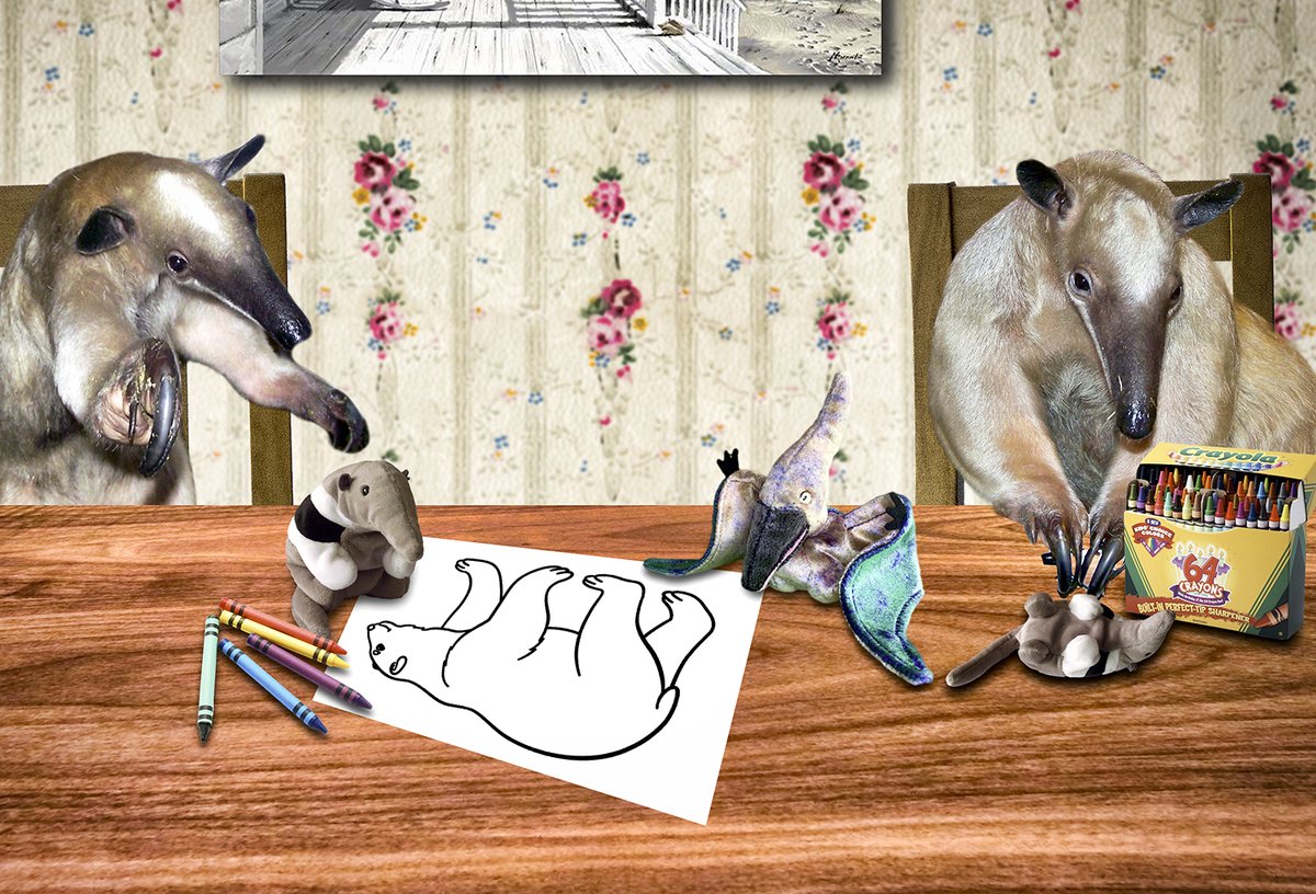 WVermilingua's tweet photo. Pterry says he feels like he's under House Arrest, so I'm cheering him up! 😁
https://t.co/pSO9lYJMrB
#animalsoffacebook #anteatersofinstagram #internetanimals #cuteanimals #onlineanteaters #anteater #animalsofinstagram #IGanimals #coloring #colouring #crayons #HouseArrest https://t.co/WSdt3epK1r