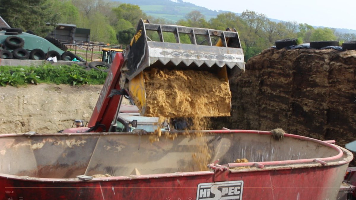 specialistnutri's tweet photo. Our nutritionist Michael Cleary was on farm in Co. Kilkenny yesterday. Eornagold being fed in a buffer diet with chopped straw, maize meal and barley, wholecrop silage, minerals and rumen buffers. Contact us for custom dietary advice on 051 833071 #bufferfeeding https://t.co/X08GViBFbG