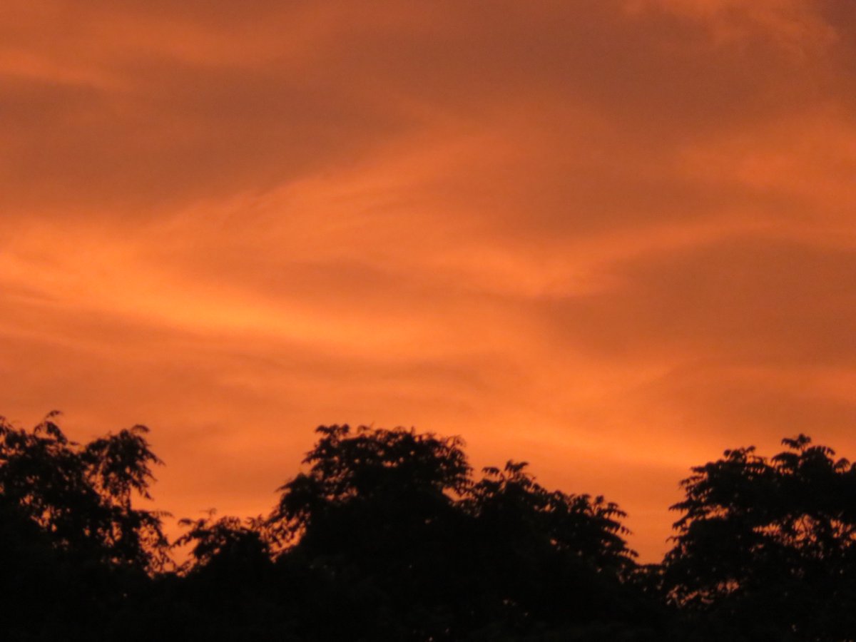PLKlein_Author's tweet photo. "The end of science is not to prove a theory, but to improve mankind." ~ #ManlyHall #ThinkingOutLoud #QuickQuotes #FridayFeeling #FridayMotivation #FridayThoughts #Science #Theory #Improve #Mankind https://t.co/b5ZjF7KIl0