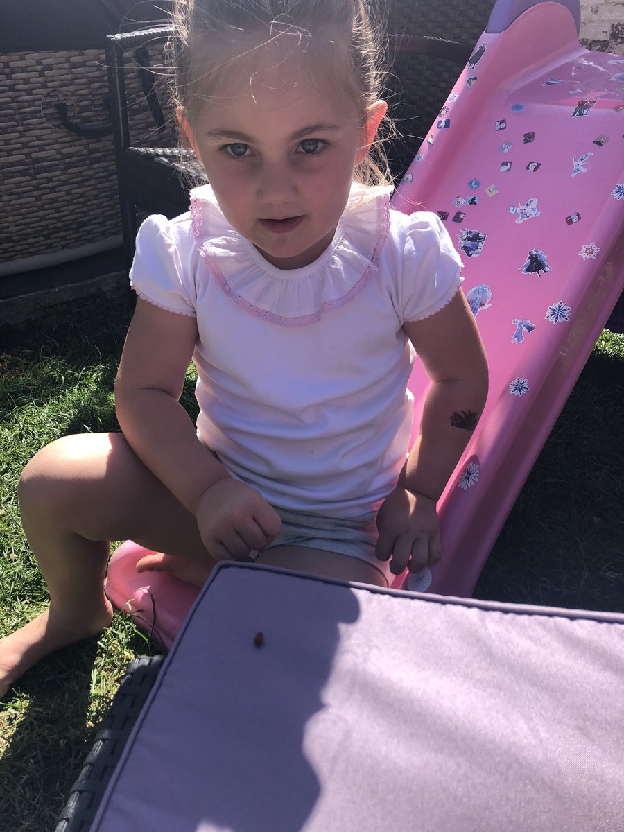beckyjarrett_85's tweet photo. Sophia has completed her mini beast hunt in the garden this morning! She found an Ant, Ladybird, Worm and a family of snails, she told mummy and Daddy all about them and what they do 🐞 @StGabsCEHuyton @MissCam47037080 @RainbowEduMAT https://t.co/yyH6KP10JB