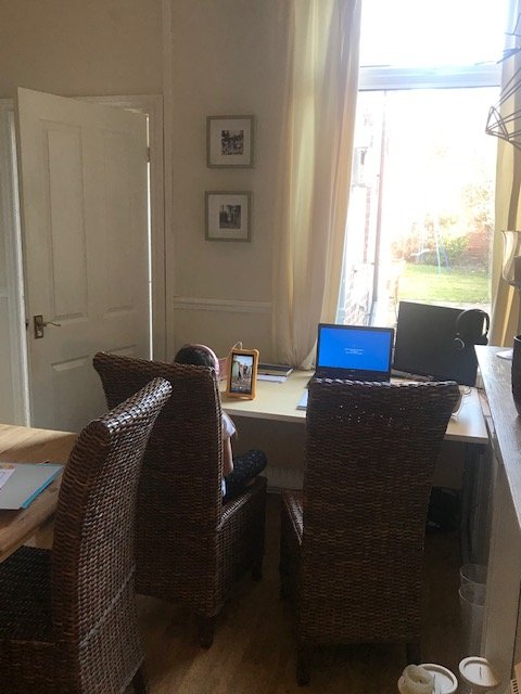 Spot our HR Manager, Jennifer Abdelaty's, working from home company 🤗#workfromhome