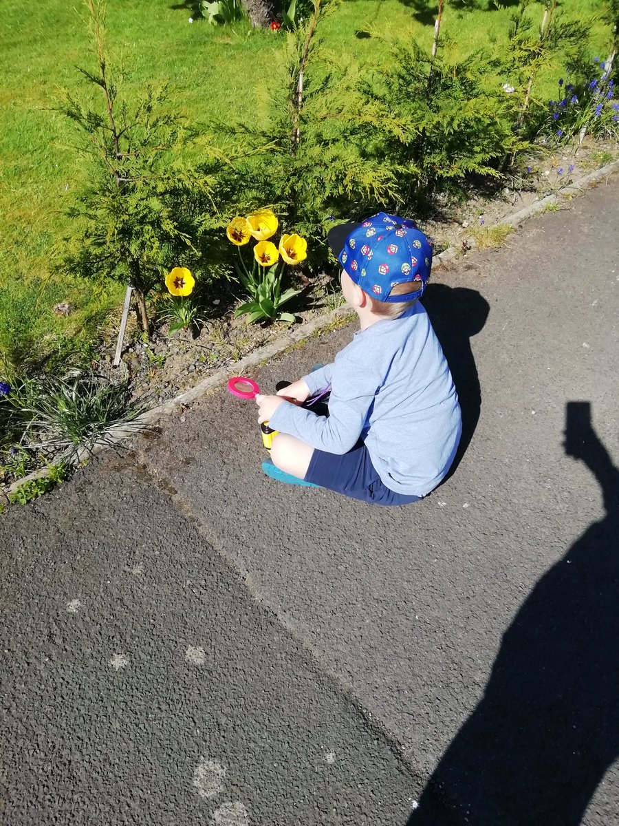 sargeemza1986's tweet photo. @watervilleps Geordie exploring spring time on our daily walk
🌸 🌷🌼🐜 🔍 https://t.co/1ae8froPc0