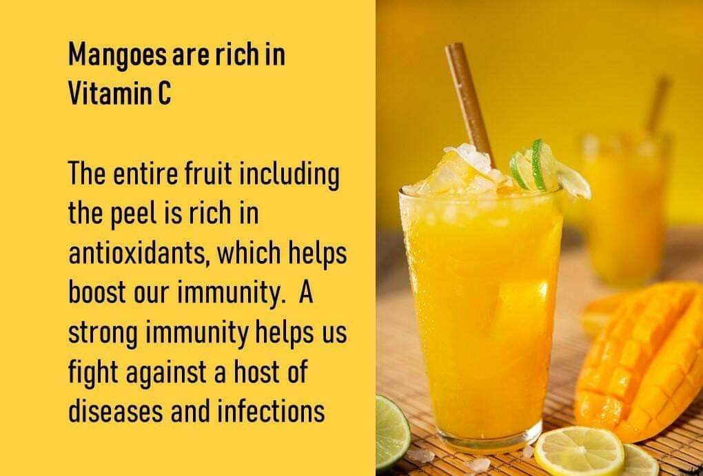 SunsipAgro's tweet photo. For more details on our mango and other fruit pulp/puree/concentrate offerings, visit us at https://t.co/ud4VMDCdPt or email at marketing@sunsipagro.com for a competitive offer. https://t.co/jZ7zoVADti