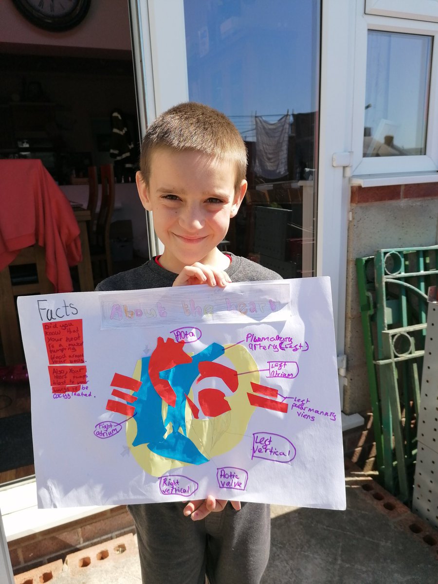 Gift_Creations's tweet photo. Lloyd has been busy this morning creating his 'facts about the heart' poster
Super proud of my boy 😍
#posterking #lockdownfun #homeschooling
@ShineCasterton @PendleEducation https://t.co/Y3LFrUVMH9
