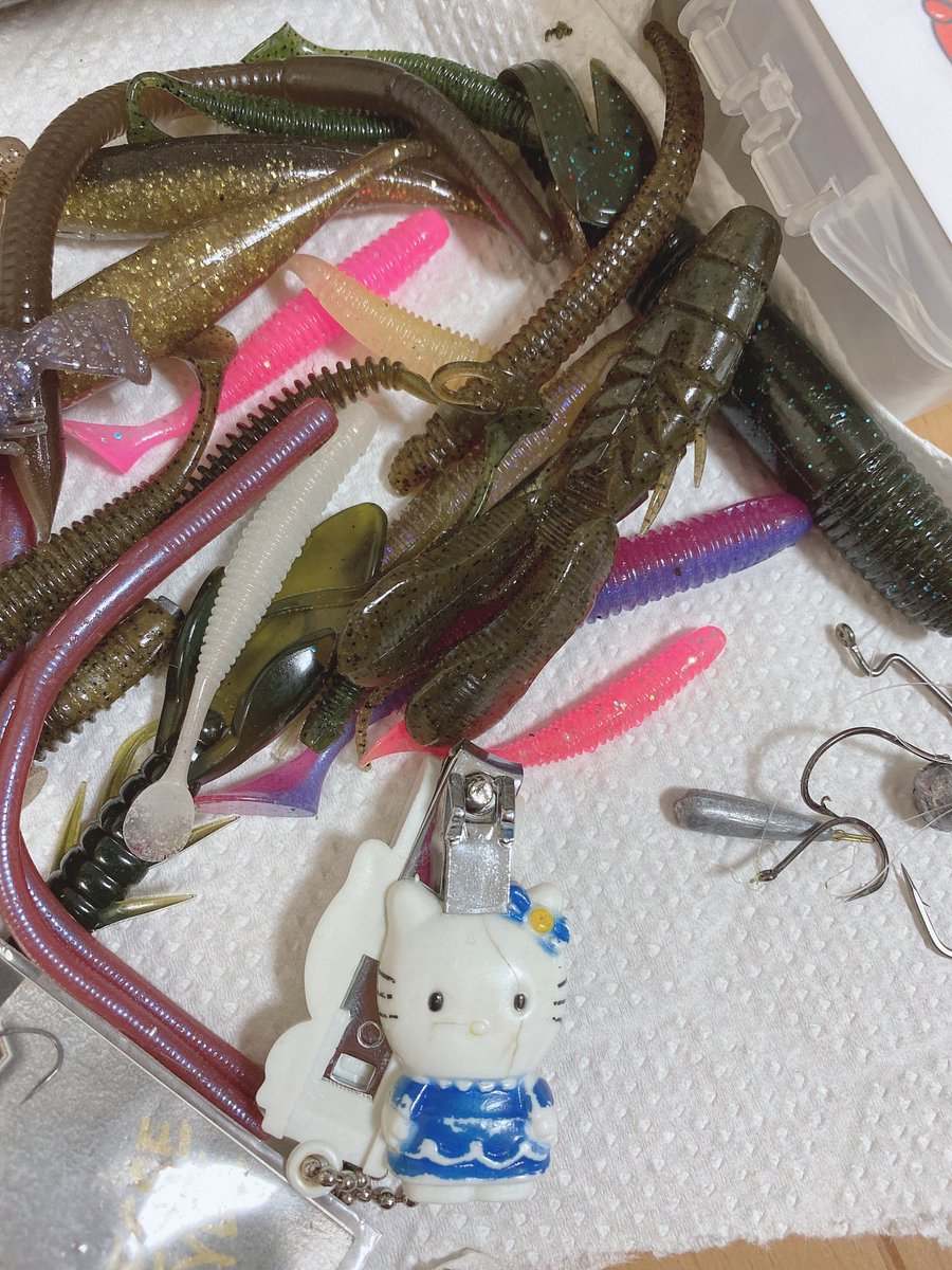 公式 かなぱん 釣りの人 100日後にマキバオーに会うかなぱん 97日目 キティちゃんの爪切りラインカッター主張強めなのね 公式 かなぱん 釣りの人 100日後にマキバオーに会うかなぱん 97日目 キティちゃんの爪切りラインカッター主張強めなのね