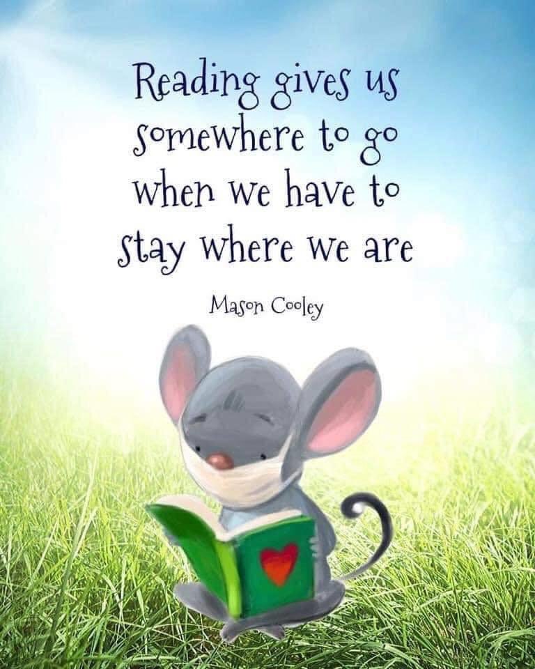 JameboLib's tweet photo. Another successful Drop Everything and Read for Ireland! #letsgetirelandreading #Jcsplibraries  #DearIrl https://t.co/XfIWsio7s7
