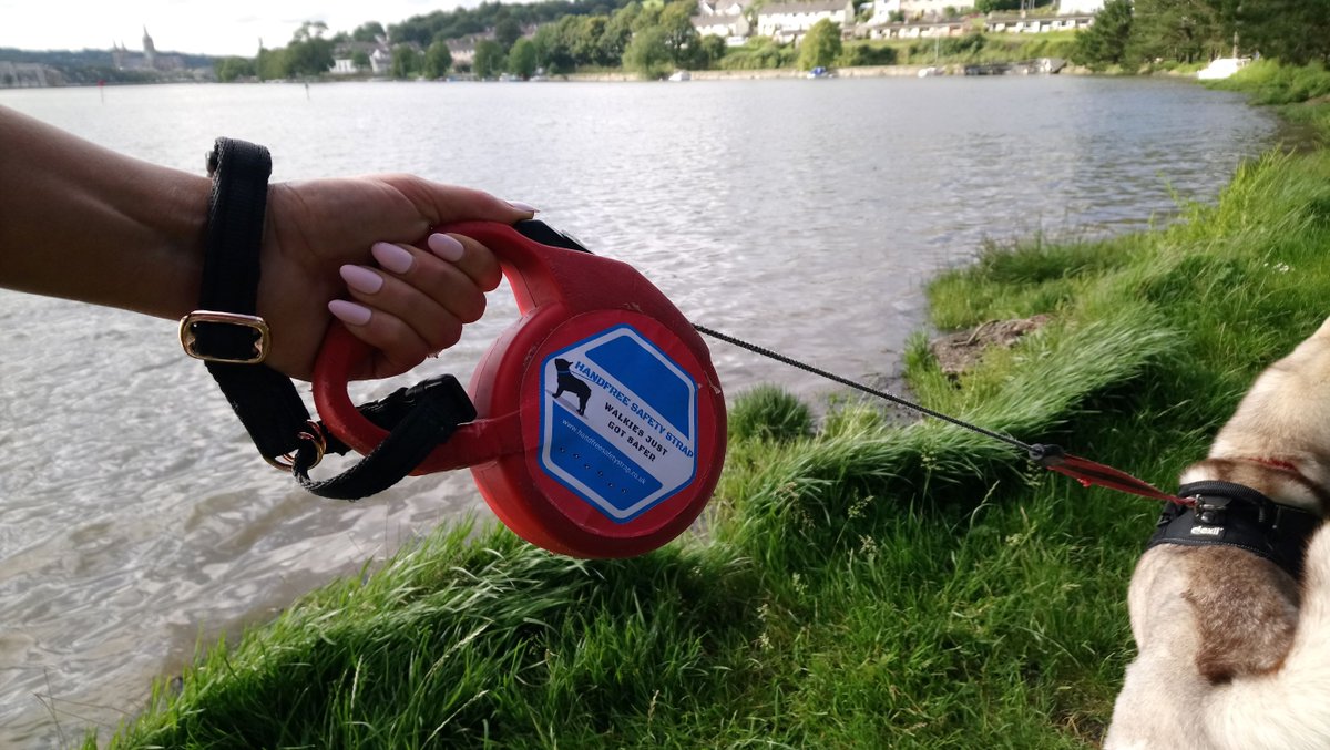 Dropped your retractable lead,had it pulled from your hand to see your dog running off❓🐾🐶well no more with a Handfree Safety Strap. #Dog #DogLife #DogsofTwittter #dogwalker #dogwalking #dogs <a href="/TheGoodDogGuide/">The Good Dog Guide</a> <a href="/DogWalkersUK/">Dog Walker Directory</a> <a href="/DogsMonthly/">Dogs Monthly</a> <a href="/smallbizshoutUK/">Ian Patchett 📢</a> <a href="/dogfriendlyinfo/">DogFriendly</a>