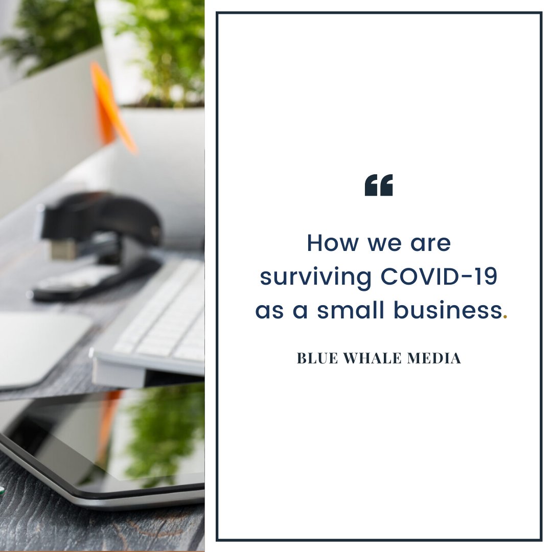 BlueWhaleMediaL's tweet photo. Without knowing what is going to happen with lockdown, it can be quite hard for businesses to keep the moral high. Need some motivation💪 Check out our latest blog: https://t.co/5vvppG3hvc
#smallbusiness #webdesignwarrington #digitalagency #motivation #teamwork https://t.co/Dz73vw4kDw