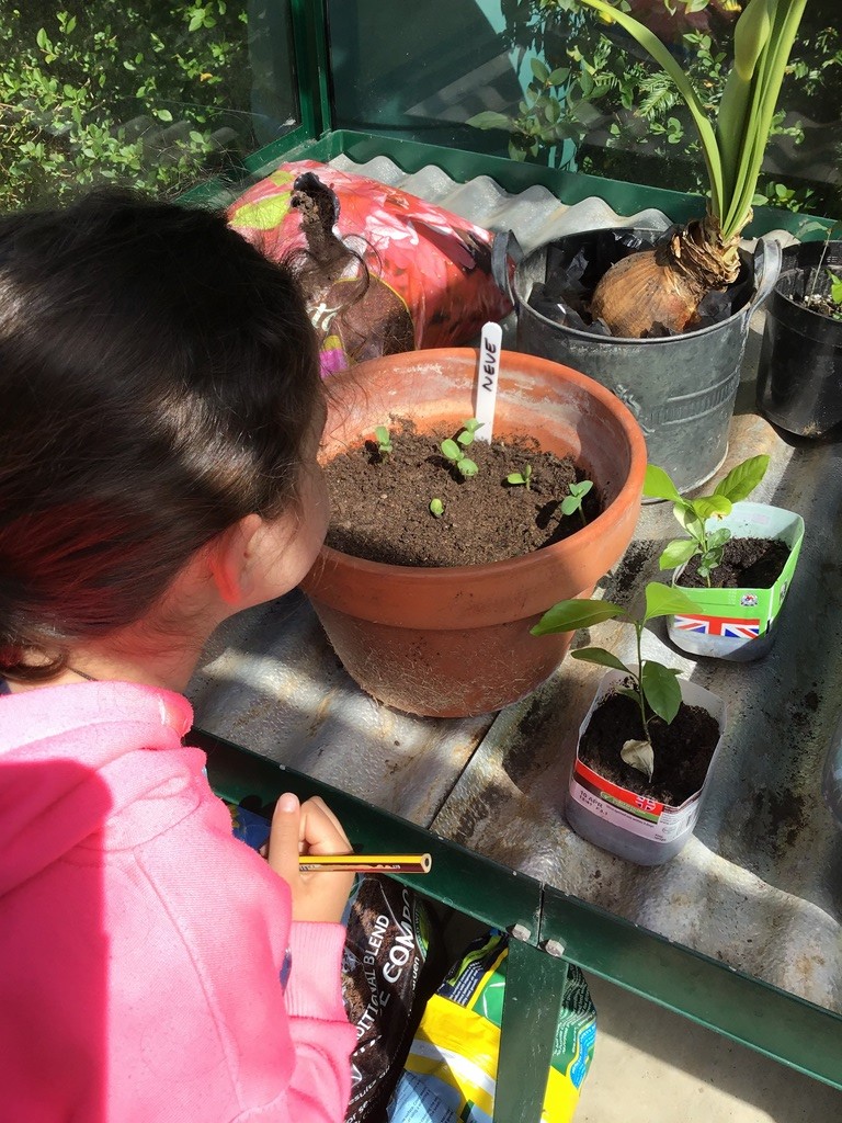 ManorHseSchool's tweet photo. Neve in Year 2 has been having fun whilst enjoying #ALoveofLearning carrying out her #virtuallearning - Here she is doing #AndyGoldsworthy Art, and her Spring Science checklist in the garden. #Bookham #manorhouseschool #SurreyGirlsSchool #PrepSchool #privategirlsschool https://t.co/XqVroOvYtP