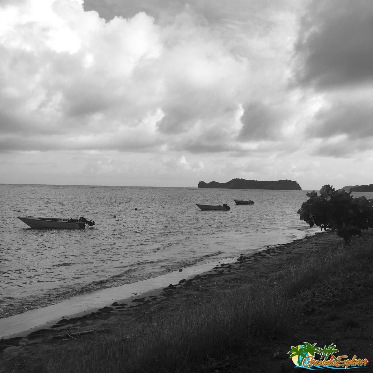 grenadaexplorer's tweet image. Somber days whilst we wait to welcome you back to our beloved island 🇬🇩 For exclusive #TravelTips visit grenadaexplorer.com #Grenada #PureGrenada #IslandLife #ILoveGrenada #DreamTodayTravelTomorrow #TravelSomeDay #WeBelieveInTravel #GrenadaDreaming #CaribbeanDreaming