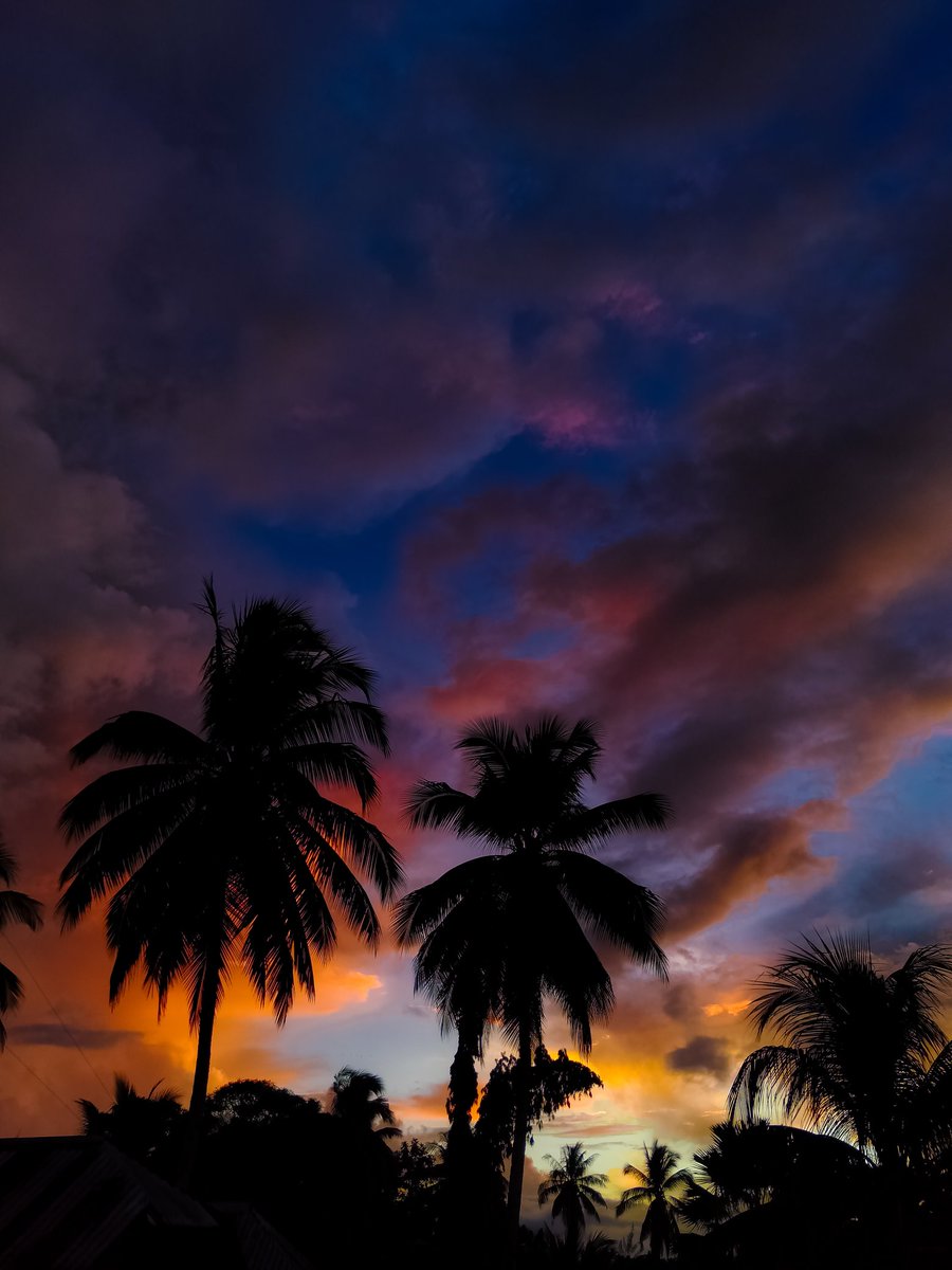 knlnrd's tweet photo. 𝘣𝘭𝘦𝘴𝘴 𝘺𝘰𝘶𝘳 𝘦𝘺𝘦𝘴,
      𝘶𝘯𝘥𝘦𝘳𝘯𝘦𝘢𝘵𝘩 𝘵𝘩𝘦 𝘴𝘶𝘯𝘴𝘦𝘵 𝘴𝘬𝘺 https://t.co/rHimVBXcuB