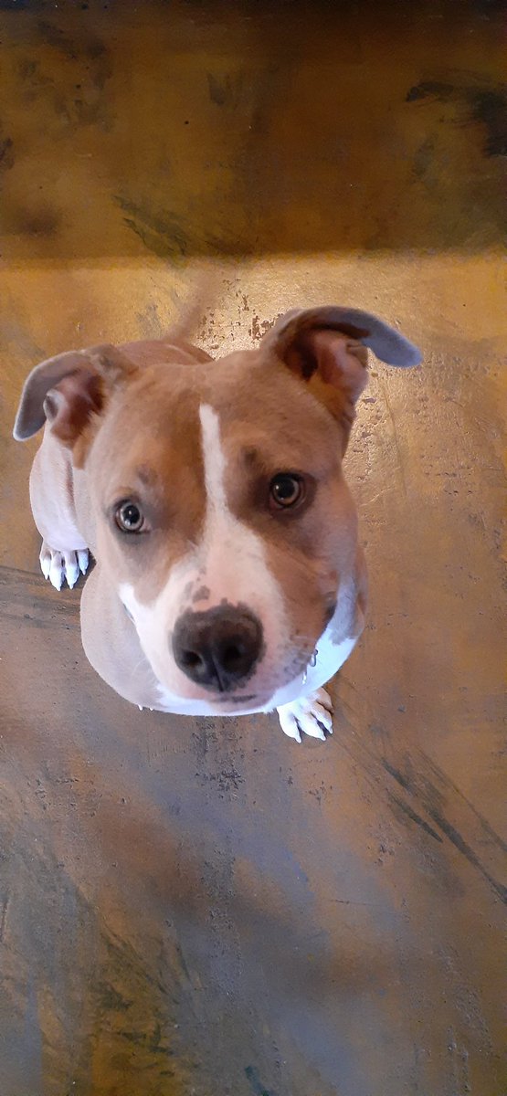 NaavahJohnson's tweet photo. Look at how fucking cute my baby is!!!!! https://t.co/84mHhSCtqk