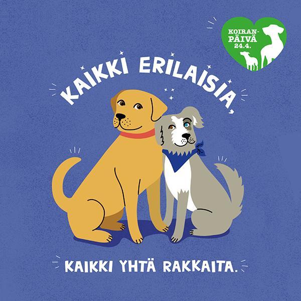 doggo_fi's tweet photo. Hyvää koiranpäivää! Rodusta riippumatta kaikki koirat tarvitsevat huolenpitoa ja rakkautta. Tarjoa koiralle hyvä arki, joka koostuu hyvästä ruoasta, virikkeellistämisestä ja siitä että koira saa toteuttaa luontaisia taipumuksiaan. Kuva: Kennelliitto

#koiranpäivä #doggo #doggofi https://t.co/yDHErhFeBb