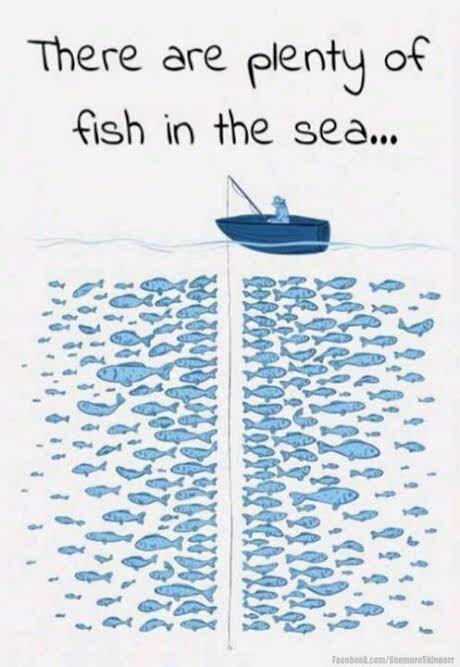 For those that are heartbroken ...💔💔 
just wait till after quarantine to start fishing 🎣 Maybe next year?