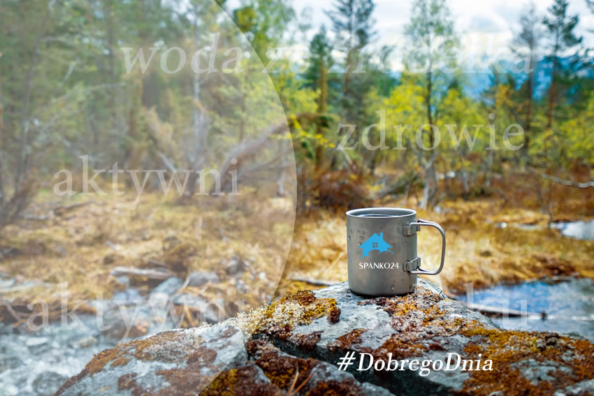 spanko24today's tweet photo. Czy piliście wodę ze źródełka, potoku będąc na górskim szlaku?
Smakuje, prawda?
#woda #aktywni #naszlaku #dobregoDnia #góry #spacer
#ZmienTermin #NieOdwoluj #ZmienTerminNieOdwoluj https://t.co/rNJO1e5cXU