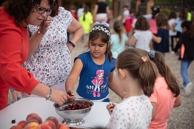 agriculturacat's tweet image. 🤝 Donem al @BancdlsAliments  els productes de la campanya de #fruita i de #llet que havien d'anar a les #escoles, ara tancades pel #COVID19.

🍏Són 16.000 kg de fruita i 🥛174.000 litres de llet que arribaran a persones #vulnerables.

Més info 👉🏽 bit.ly/donaciofruitai…