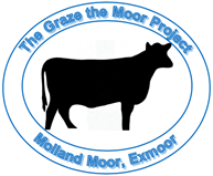 Innovative moorland grazing project brings fresh optimism <a href="/ExmoorNP/">Exmoor National Park</a> <a href="/heathertrust/">The Heather Trust</a> @NESouthWest <a href="/NaturalEngland/">Natural England</a> 
exmoorsociety.com/?p=43230