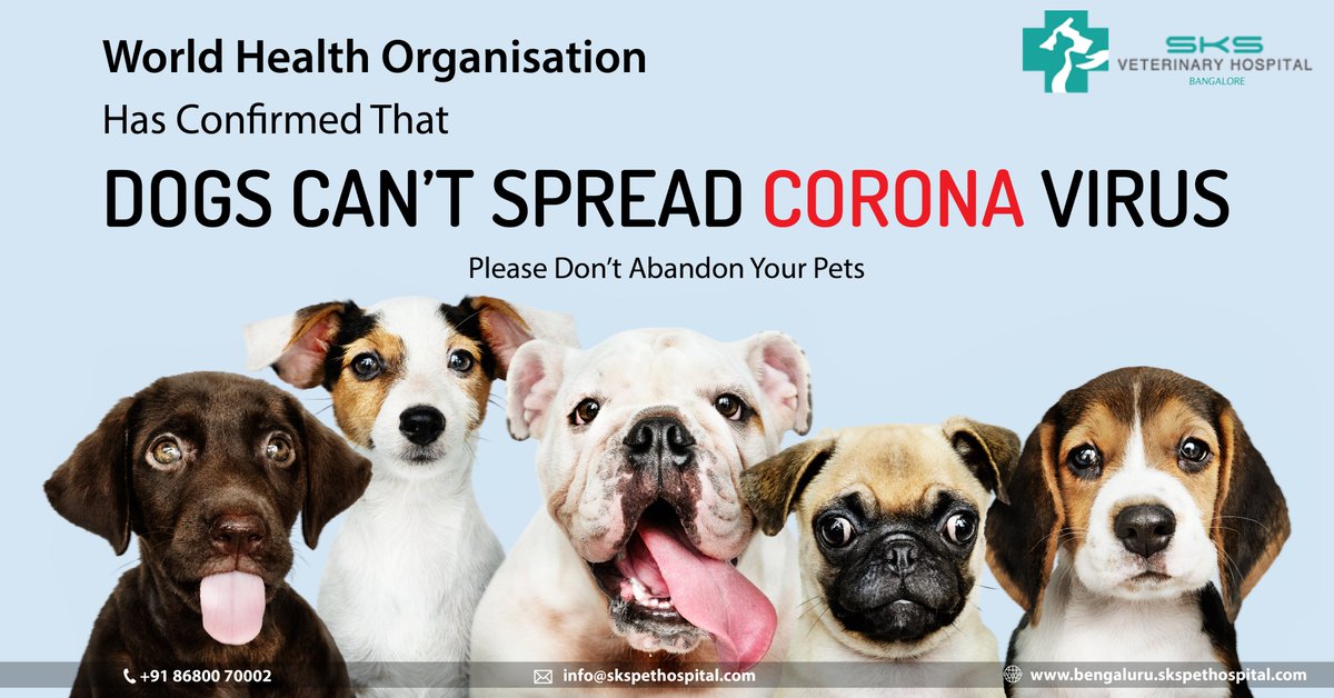 skspetbanglore's tweet photo. World Health Organisation Has Confirmed That, Dogs Can't Spread Corona Virus. Please Don't Abandon Your Pets.

Website : https://t.co/e4OTxPgx8P

Phone : +91 86800 70002

#StayHomeIndia #StayHomeStaySafe #petlovers #Bangalore https://t.co/aX94QP2v3P