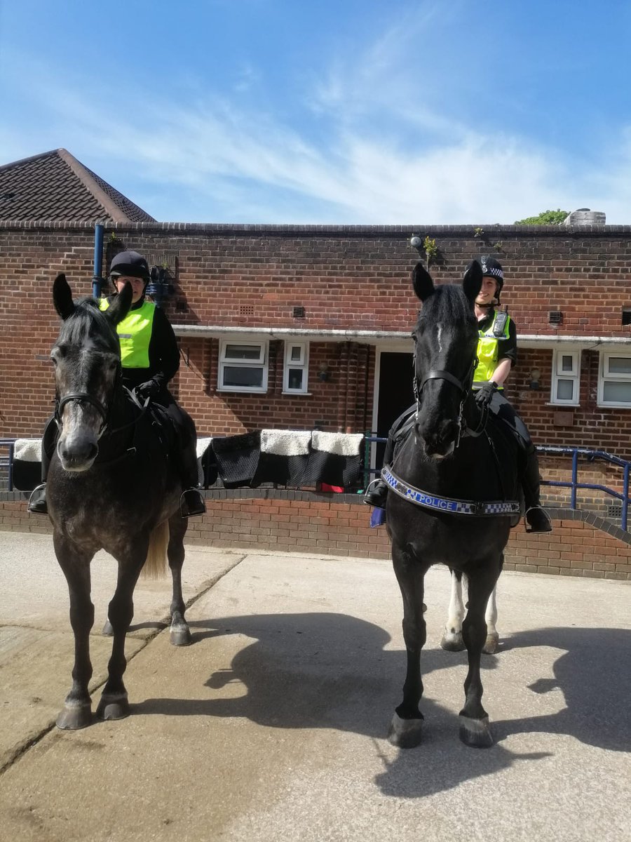 Chunky has been out again with Harriet today. He has really settled into his new role and is really enjoying his training. #StandTall #PHChunky #PHHarriet #MountedTraining #MountedPatrols #NewBoy