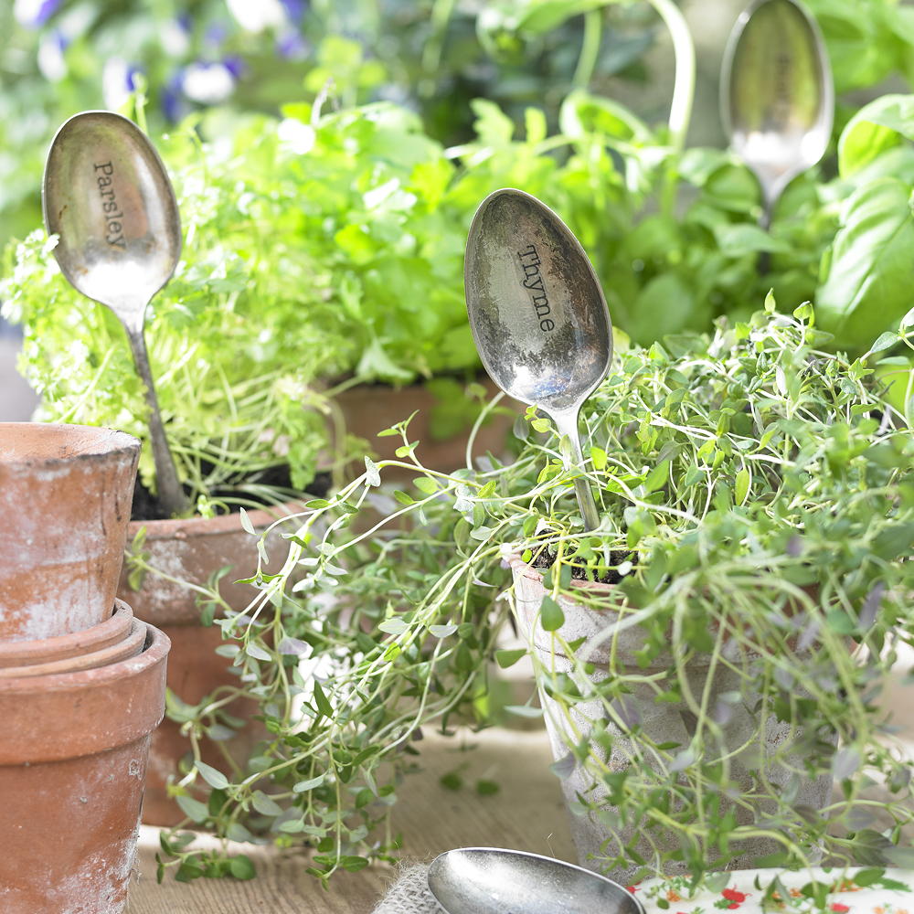 idealhome's tweet image. Where can I buy seeds online? These online store are selling everything from beginner kits to bonkers vegetables ow.ly/pxWX102ehV8