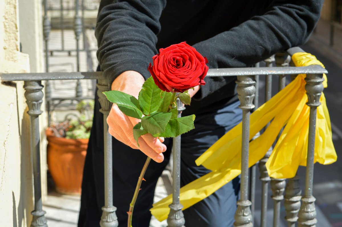Així de bonica ha arribat la rosa de #SantJordiConfinat