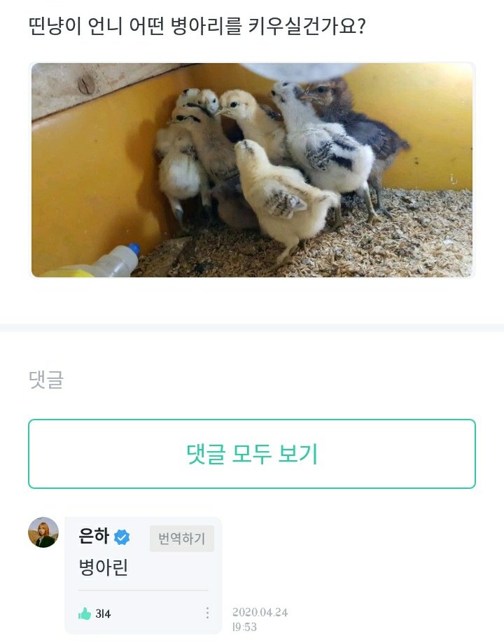 : Euna long padding there's a familiar person waiting at the crosswalk..: Ddin cat unnie, what kind of chick you want to raise? ChickRin