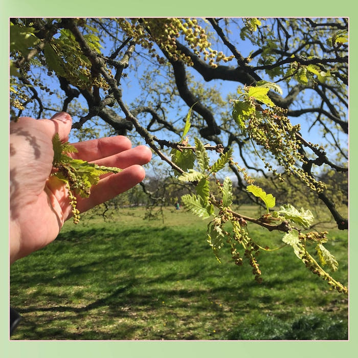 wolfstig's tweet image. The second solo collection by the Wolf, Thomas F Newell, is released today.

thomasfnewell.bandcamp.com

We hope you are all doing okay in these unusual times.

WS 💜💚