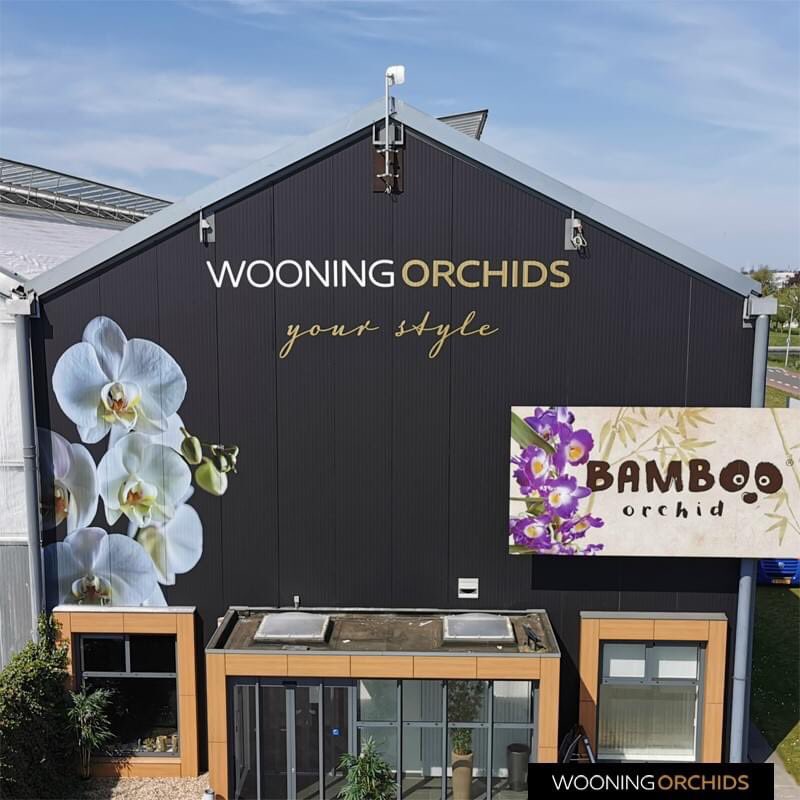 WooningOrchids's tweet photo. They just finished the new signing on our office. A real eye-catcher when you drive on the Anthuriumweg!

#wooningorchids #signing #orchids #phalaenopsis #anthuriumweg #bleiswijk https://t.co/oYhrPV0bne