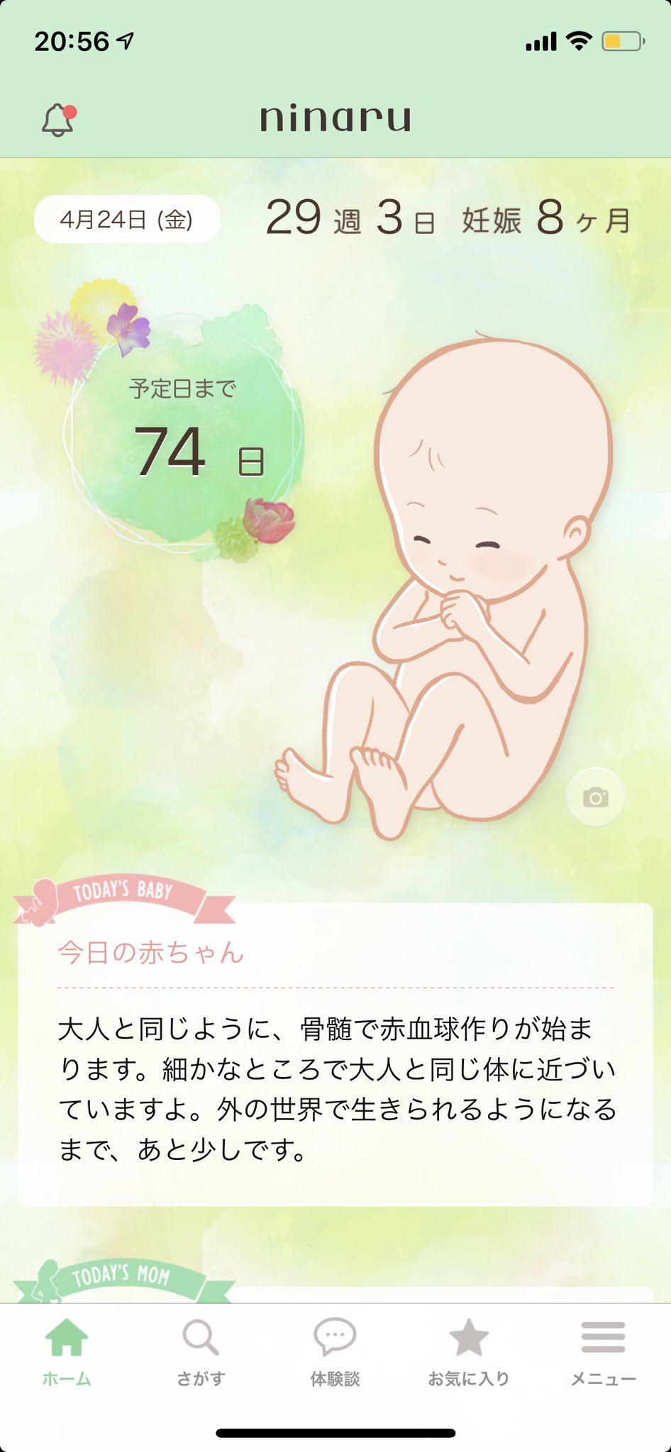Maya まやの100日カウントダウンは出産予定日です はやかった Gt Lt T Co Px1jweqrf4 Twitter