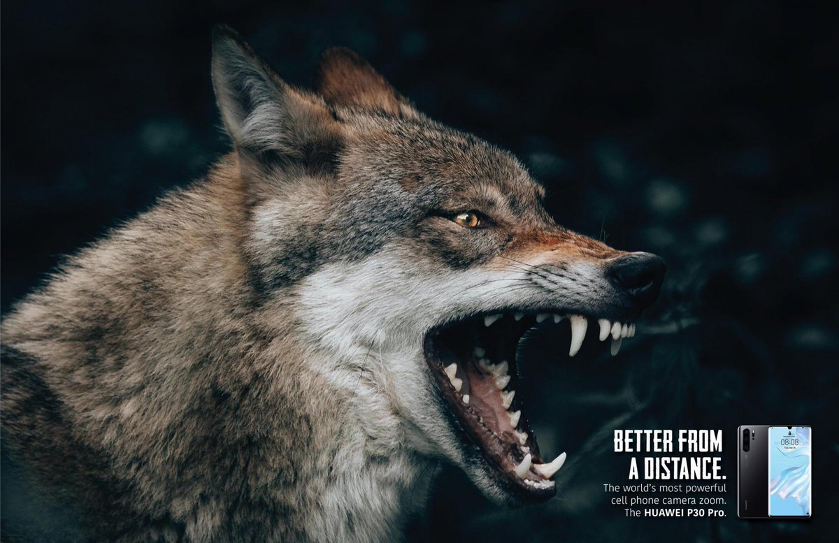 adsoftheworld's tweet photo. "Better from a distance" 📸 With 5x optical zoom and 50x hybrid zoom on the Huawei P30 Pro, there's no need to get so close. #studentad Copywriter: Charley Karchin / Art Director: Tom Ciaccio https://t.co/zQX3dUqmdi https://t.co/UNACk5vRNw