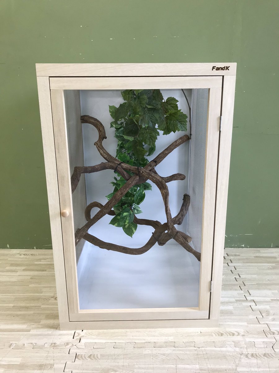 今朝ご紹介したカメレオンケージをレイアウトしました。 カメレオンの