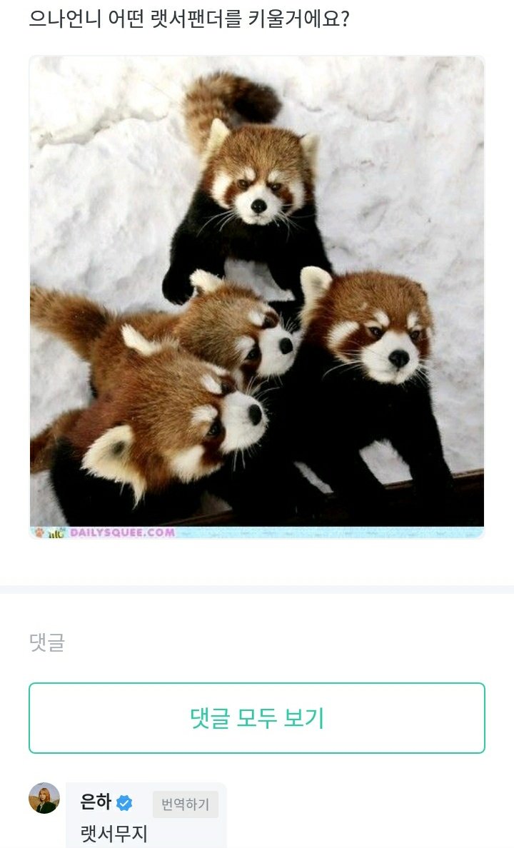 : Euna unnie, what kind of red panda you're going to raise? red panda muji
