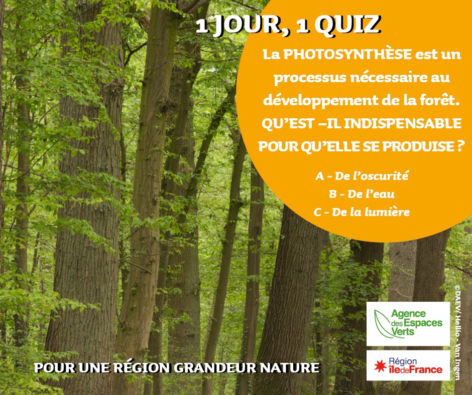 idfnature's tweet photo. 1 JOUR,1 QUIZ

Semaine de #confinement6 ! L’AEV continue de vous proposer de parfaire vos connaissances sur la nature ! Un livre sur la découverte du monde forestier sera envoyé à 3 personnes qui auront trouvé la réponse ! L’envoi sera fait après la période de confinement. https://t.co/vlZeB47N1E