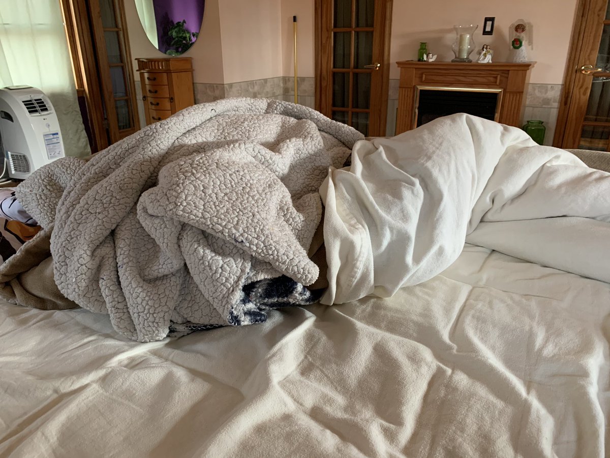 So M🌼m went downstairs to get coffee...and this is what she came back to....😂😂😂.  The covers are mine....haha...hehe... I am there....somewhere....😂😂 #abeagleslife #beagle