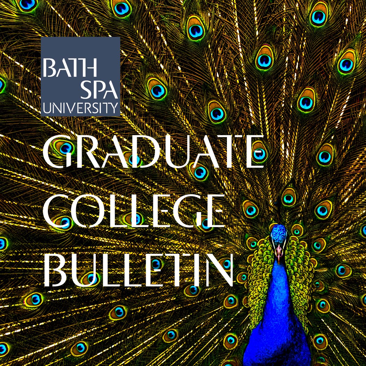 BSU Graduate College tweet media