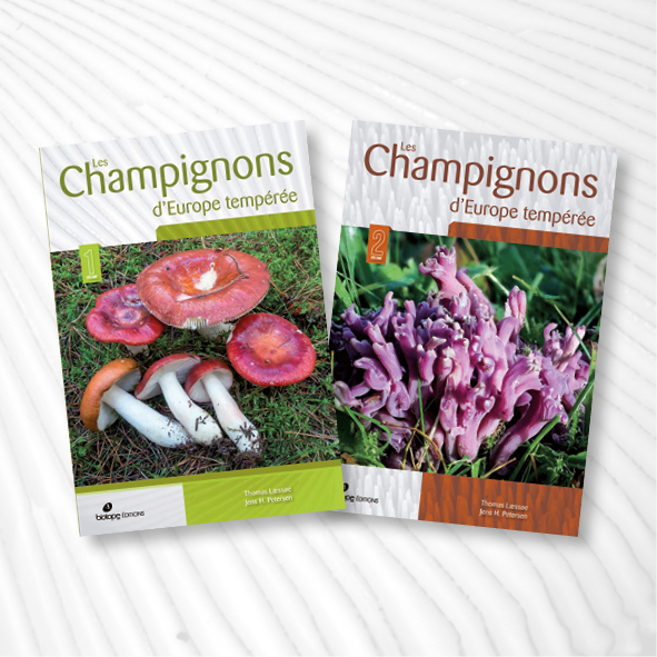 EdRossolis's tweet photo. Le livre « Champignons d’Europe tempérée » de notre partenaire @Biotope_ paraîtra prochainement.
Il est possible de le commander en souscription jusqu’au 30 avril 2020.

https://t.co/iSGYGW01cX

#champignons #editionsbiotope https://t.co/fXvLBCYCr8