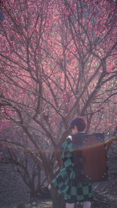 コスプレイヤーキノくんのTwitter画像55