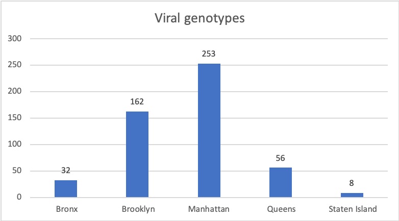 4/ If you download the 639 viral genomes from New York on  @GISAID today, 511 are from the five boroughs of  #NYC. Of these, 415 are from Manhattan and Brooklyn.