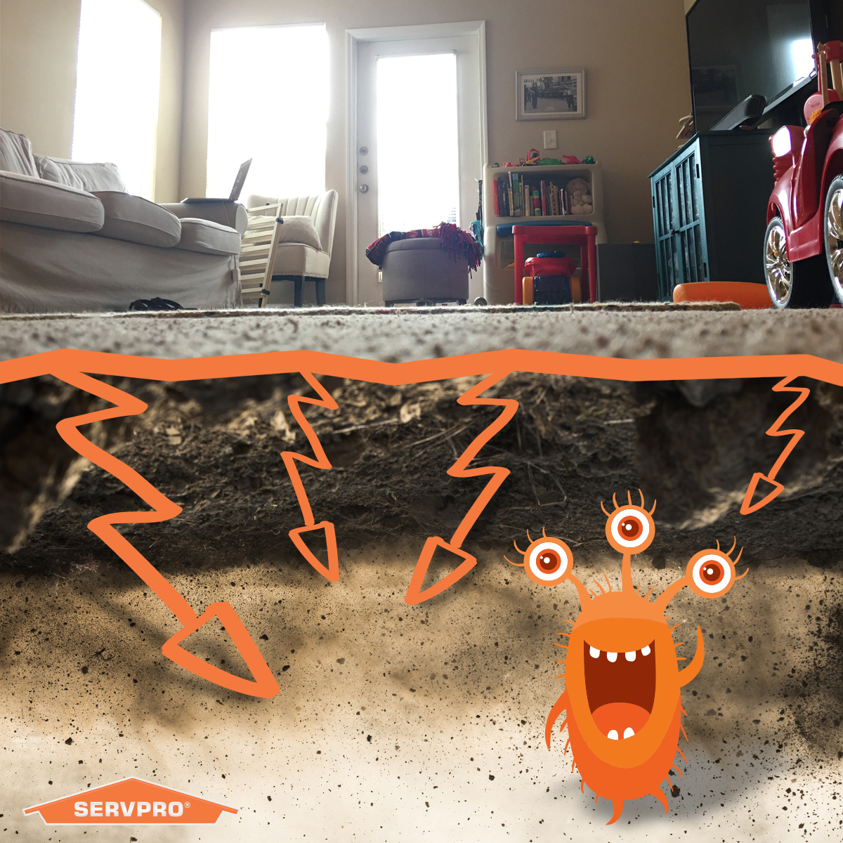 Being #1 in the industry, means we know dirt. When a carpet looks dirty, you're only seeing dirt at the top of the fibers. The dirt hiding below the surface is what causes most damage.