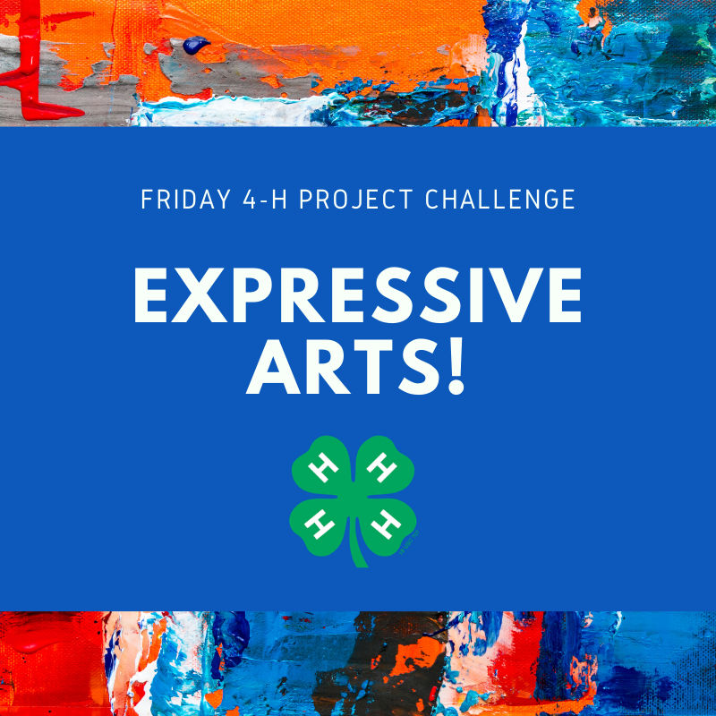 RamseyCounty4H's tweet image. It&apos;s time for the &quot;Friday 4-H Project Challenge!&quot; Today is all about Expressive Arts. We challenge you to recreate and bring famous works of art to life using objects found in your home! #learningbydoing #4Hprojectlearning #creativityandexpression